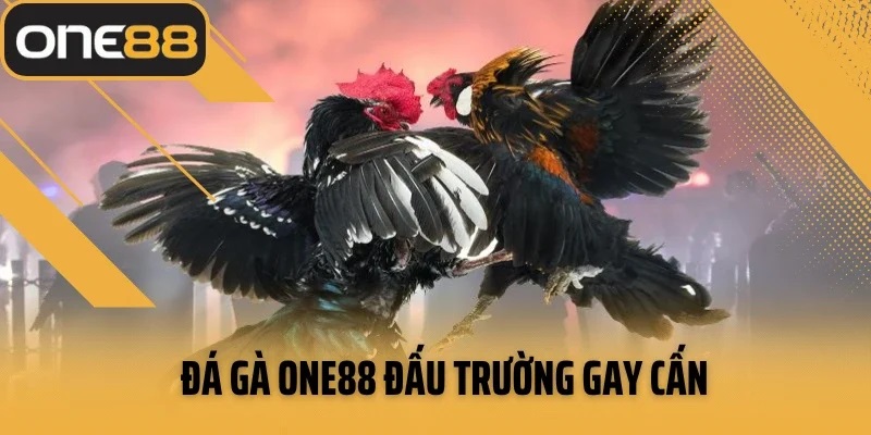 Review nha cai one88 da ga